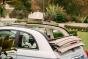 fiat-500-collezione-1957-2024-752098.jpg